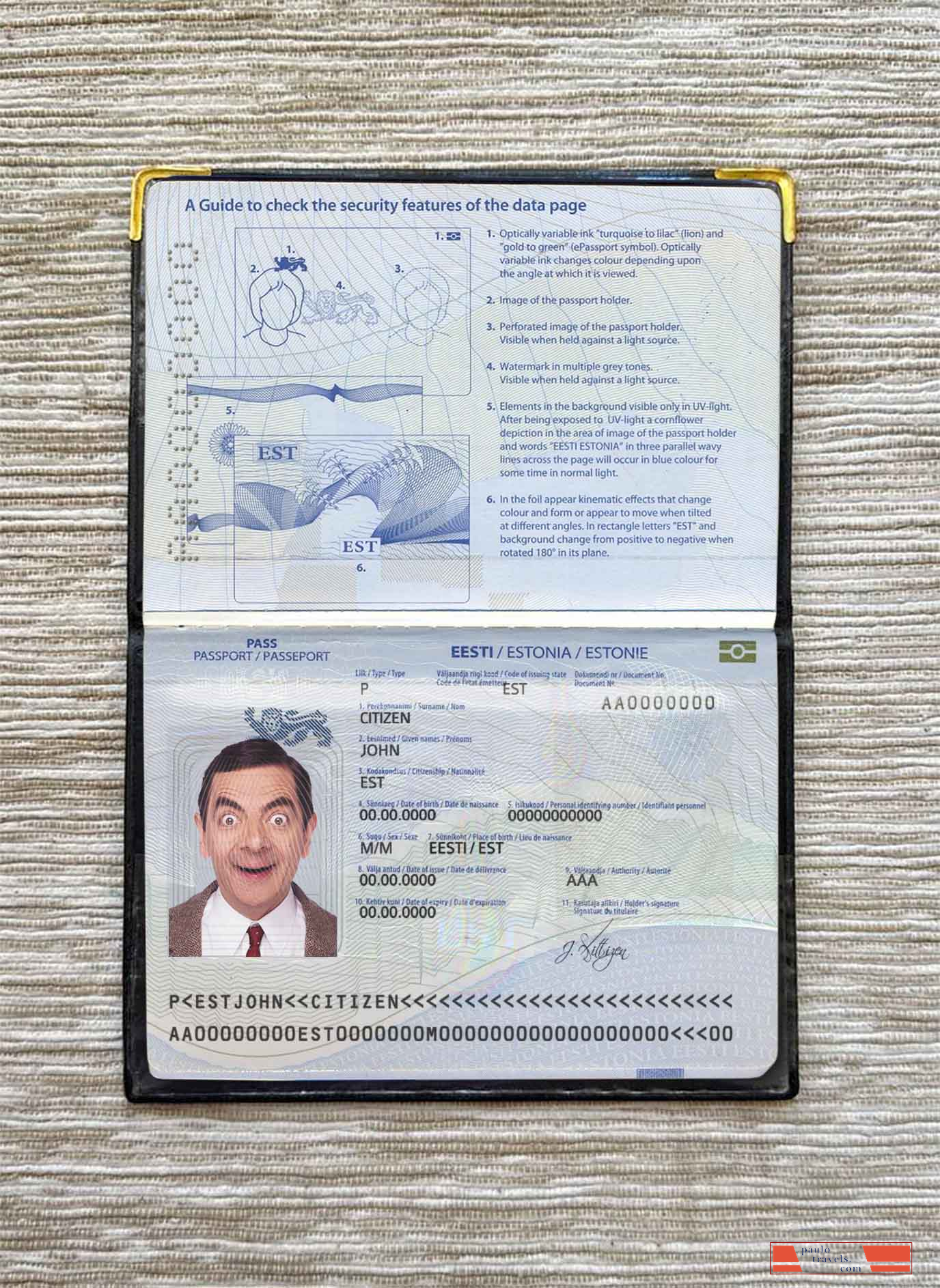 Estonia passport photo look PSD template